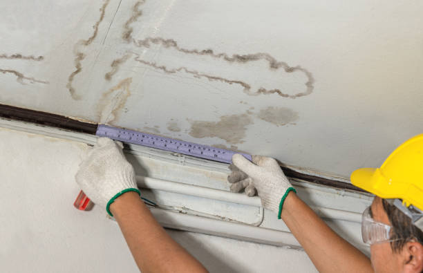 Reliable Basement Flood Cleanup contractor in Pleasant Hill, CA by Aqua Guard Water Damage